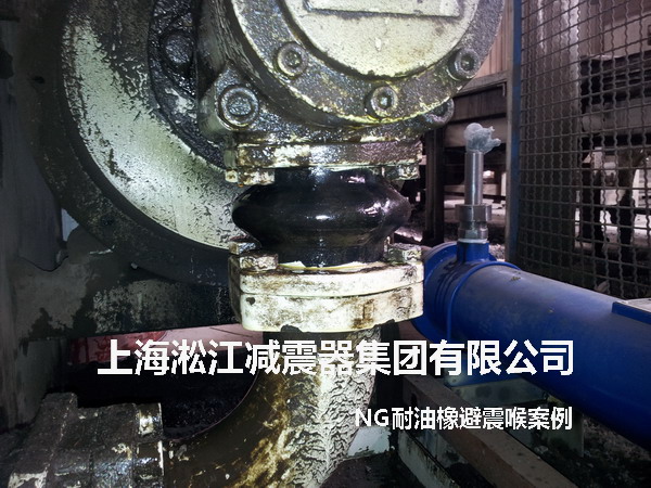 液壓泵NG耐油橡膠避震喉，NG耐油橡膠避震喉照片
